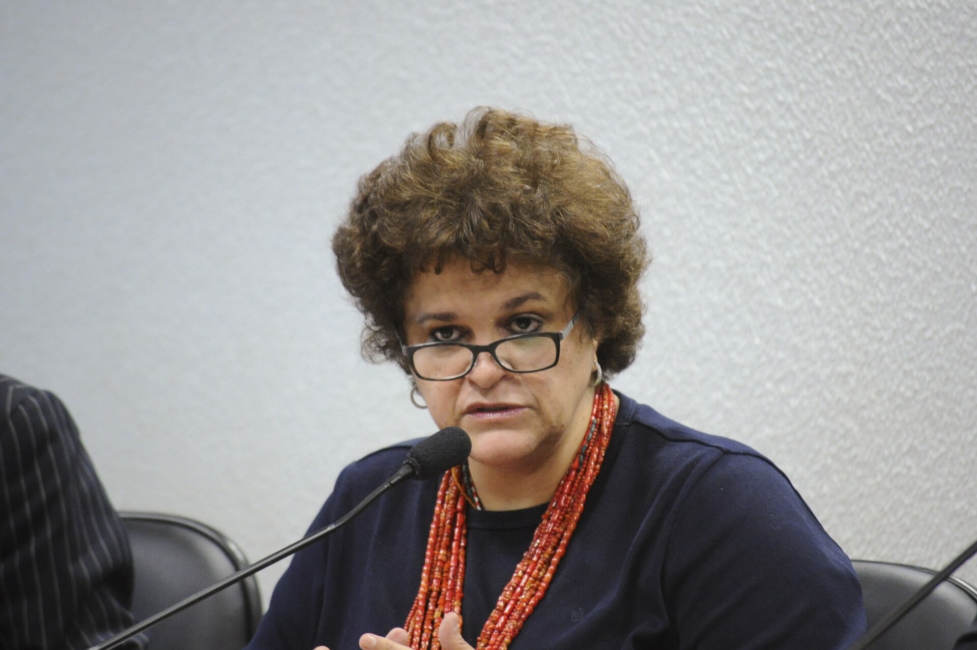 Imagem de referência relacionada a Izabella Teixeira, item descrito como bióloga e servidora pública brasileira