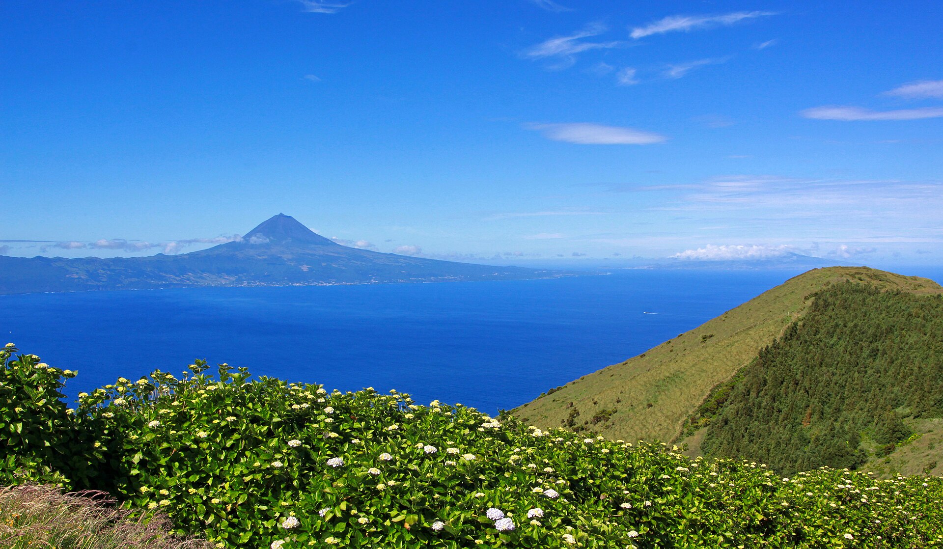 Imagem de referência de Açores, descrito nos dados abertos como região autónoma de Portugal no arquipélago dos Açores
