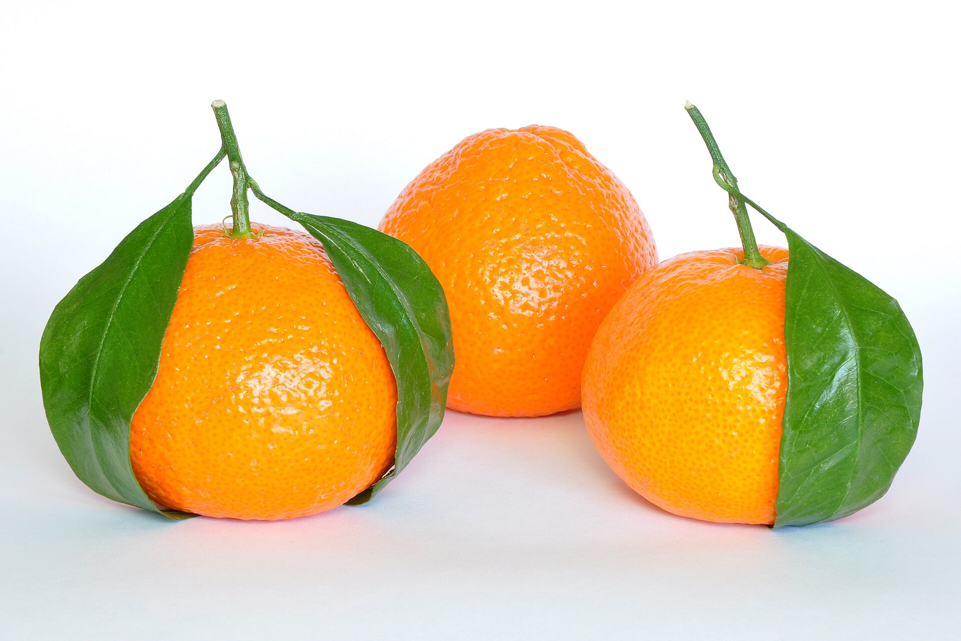 Imagem de referência relacionada a Tangerina, item descrito como fruta cítrica
