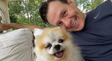 Seu cachorro não vota e não merece uma comemoração com fogos de artifício