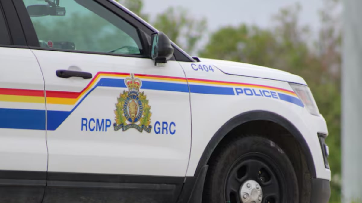 South Carolina man charged after Sask. woman, two children killed in crash