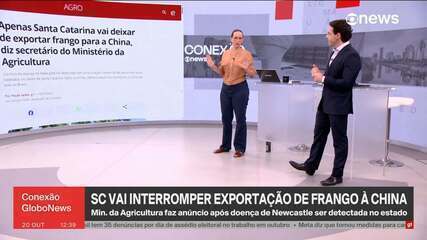 Apenas Santa Catarina vai deixar de exportar frango para a China, diz secretário do Ministério da Ag